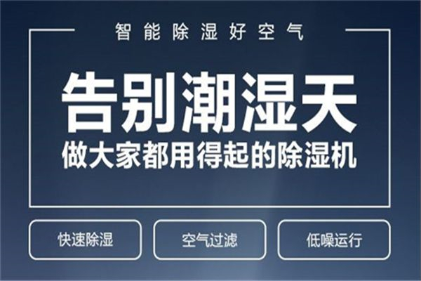 高品质红枣、山楂、枸杞的干燥解决方案——除湿机助力完美烘焙